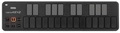 MIDI ����������� � ����������